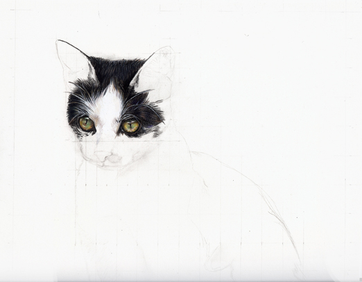 Smudge stage 2